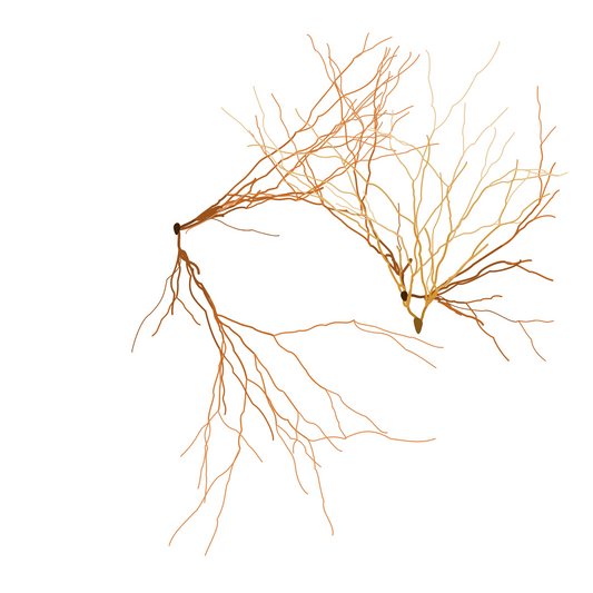 Maya Lin, Ghost Forest Seedlings #352