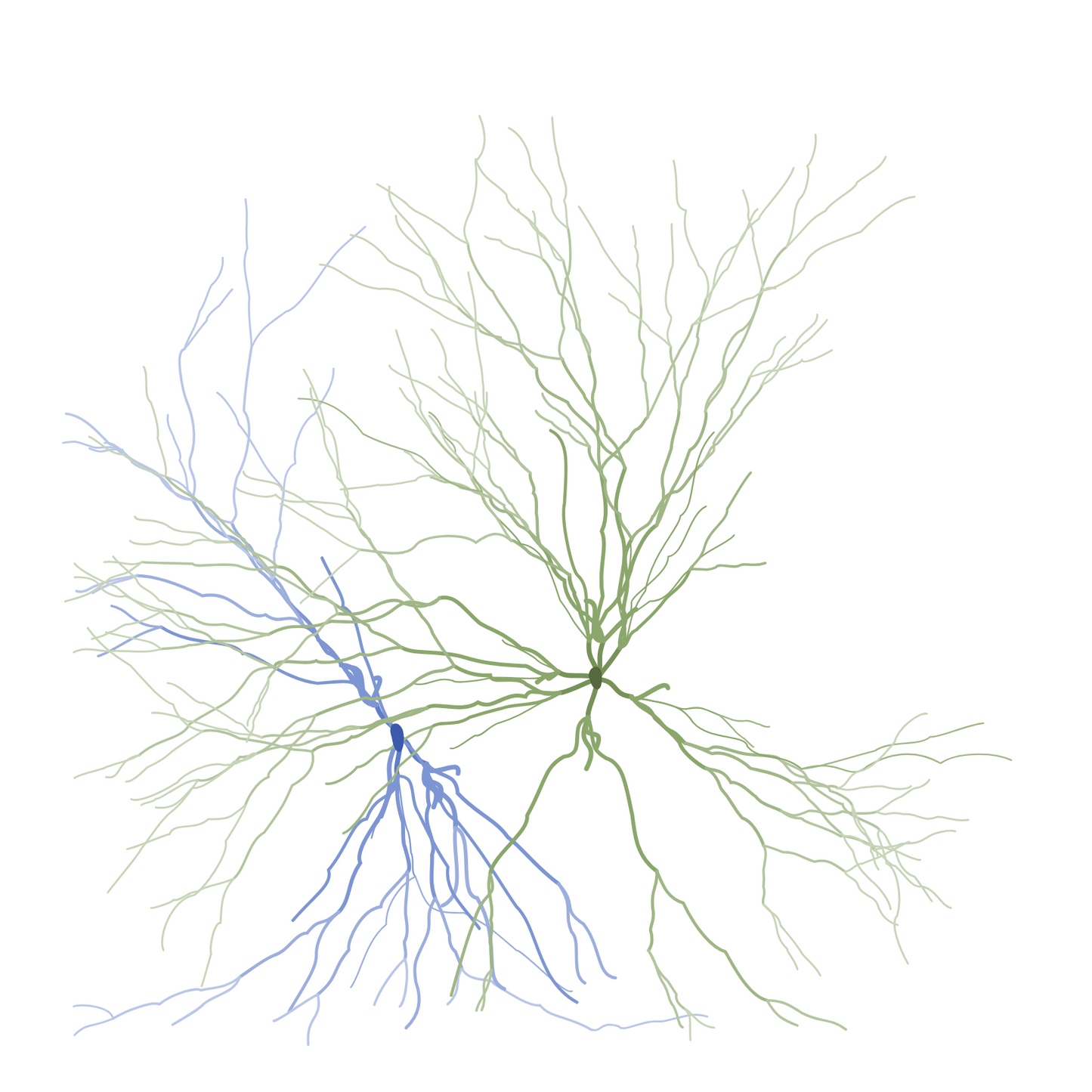 Maya Lin, Ghost Forest Seedlings #359