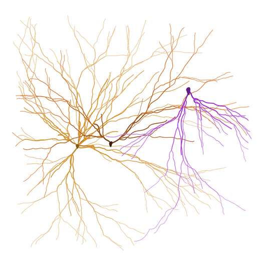 Maya Lin, Ghost Forest Seedlings #361