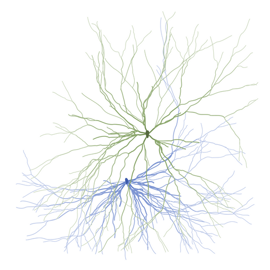 Maya Lin, Ghost Forest Seedlings #363